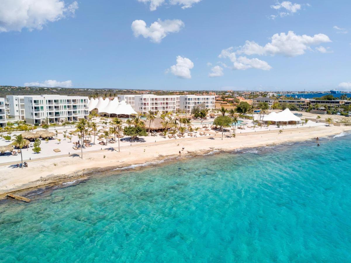Chogogo Dive & Beach Resort Bonaire Playa Exteriér fotografie
