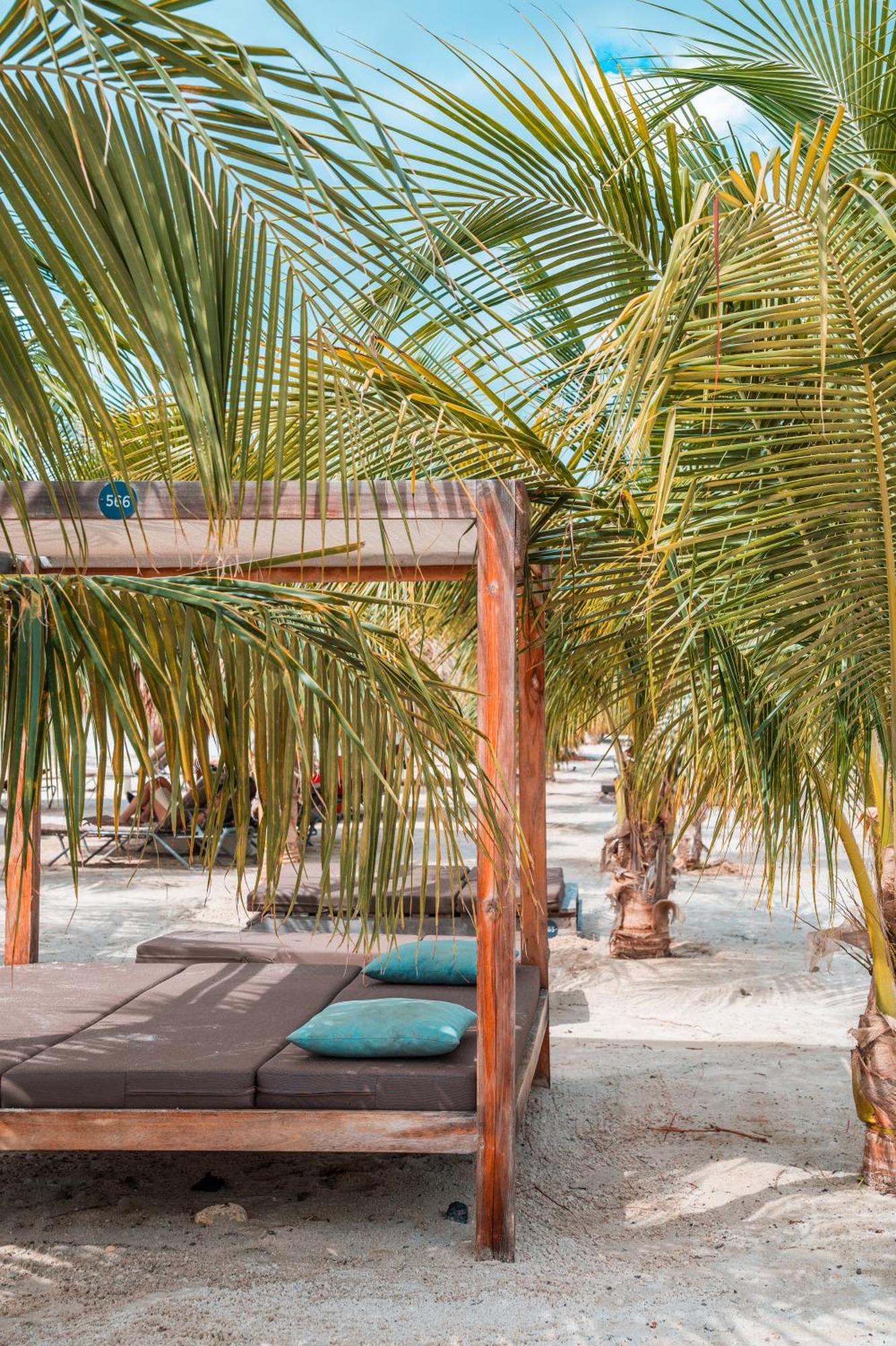 Chogogo Dive & Beach Resort Bonaire Playa Exteriér fotografie