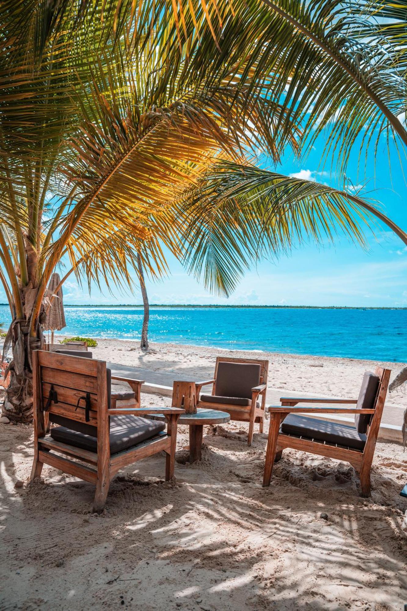 Chogogo Dive & Beach Resort Bonaire Playa Exteriér fotografie